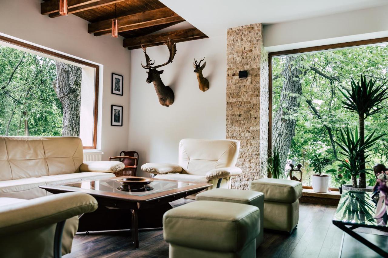 Mer Guest House B&B 브라쇼브 외부 사진